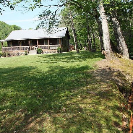 فيلا Climbing Bear Creekside Cabin Whittier المظهر الخارجي الصورة